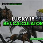 horse racing each way bet calculator